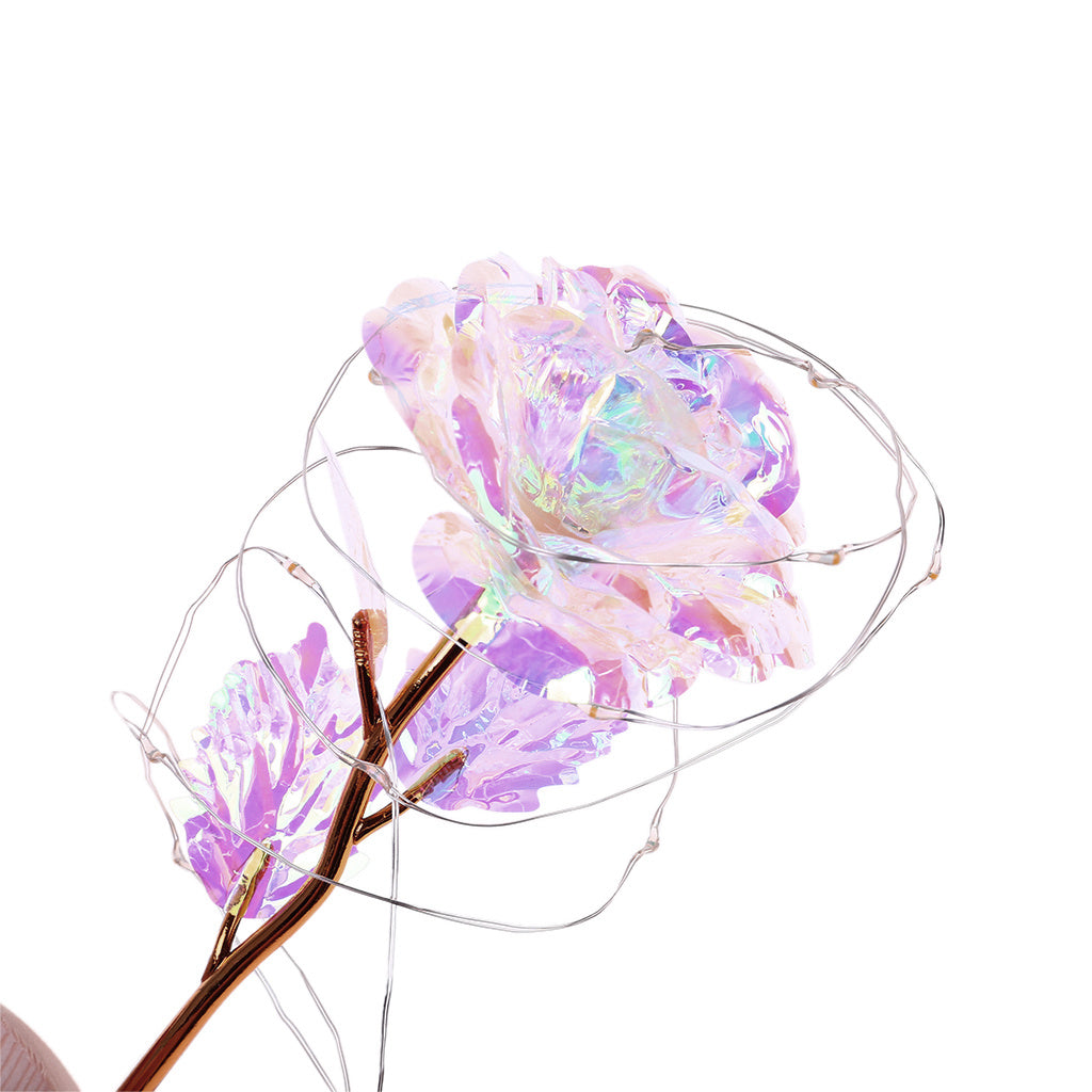 Enchanted Forever Rose Flower in Glass LED Light