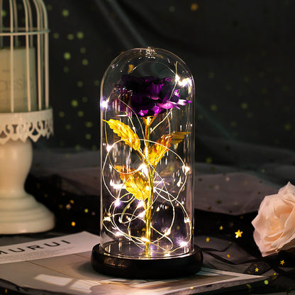 Enchanted Forever Rose Flower in Glass LED Light