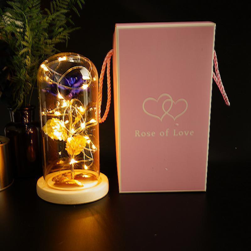 Enchanted Forever Rose Flower in Glass LED Light